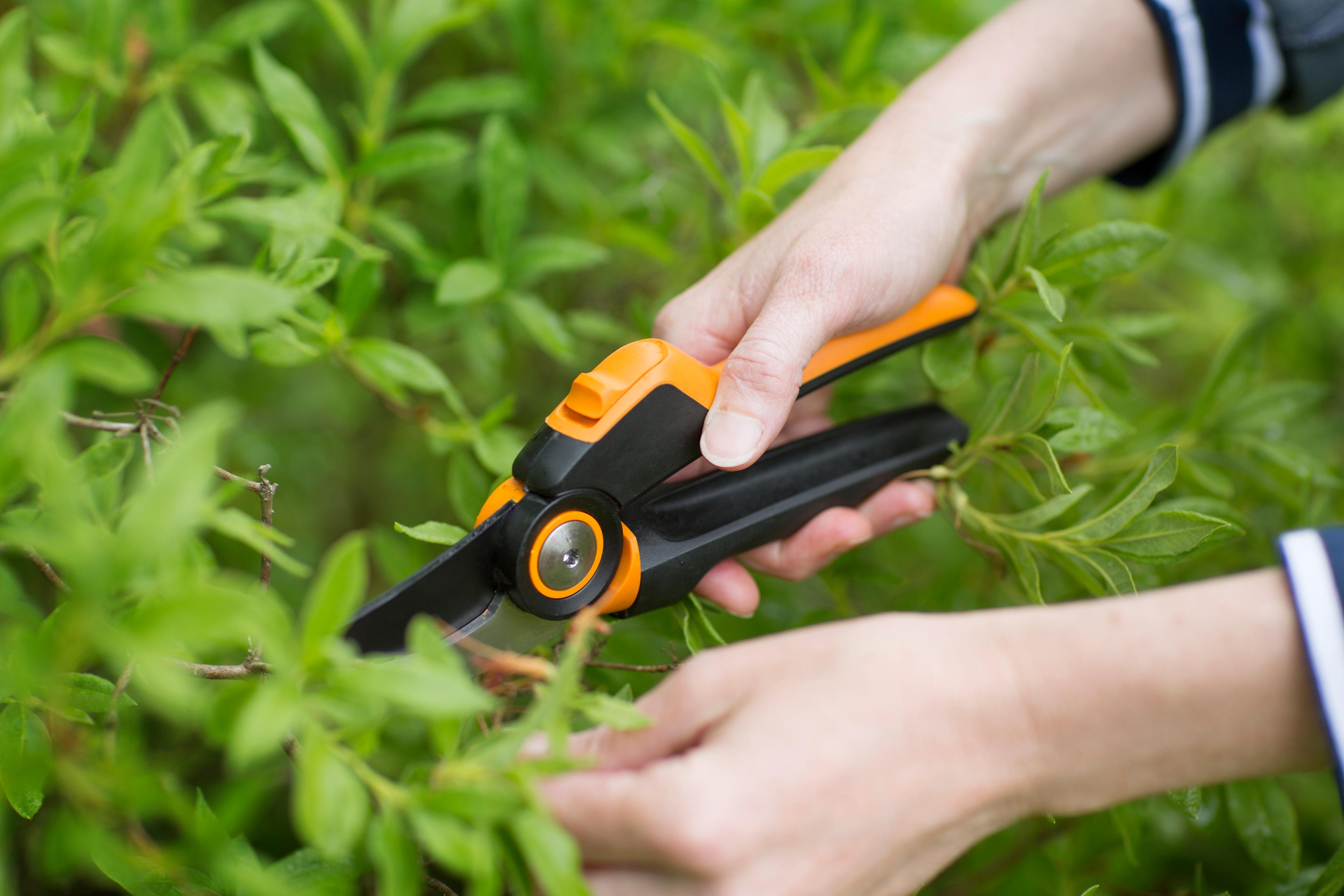 Fiskars Garden Action PowerGearX Bypass Pruner 1