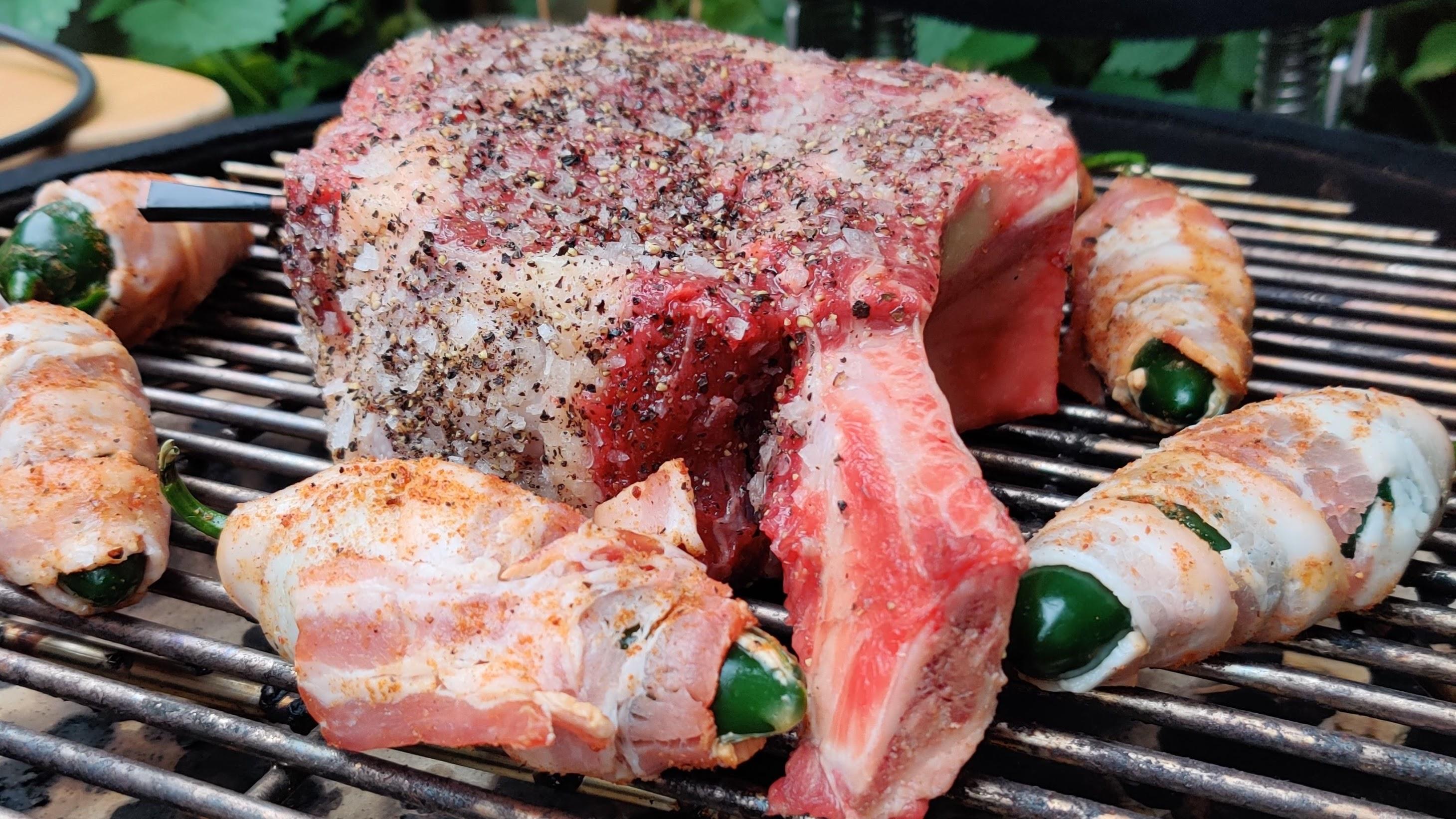 Stektermometer Bast i test